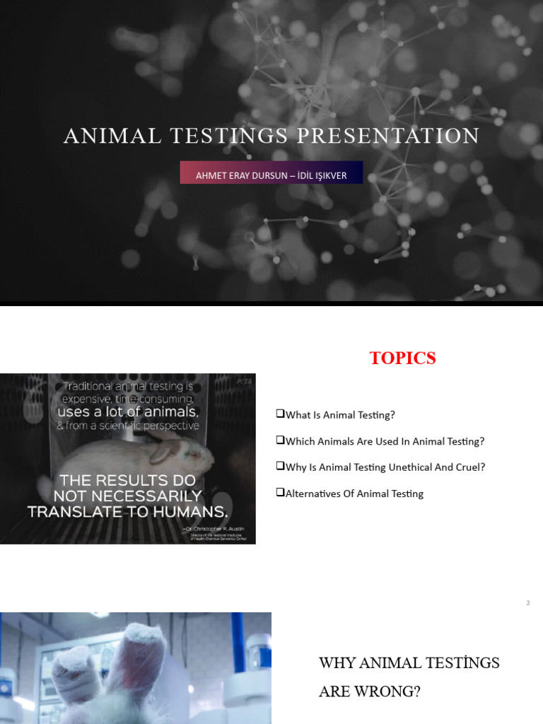 Animal Testings Presentation | PDF