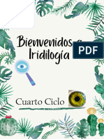 Bienvenidos A Iridilogía