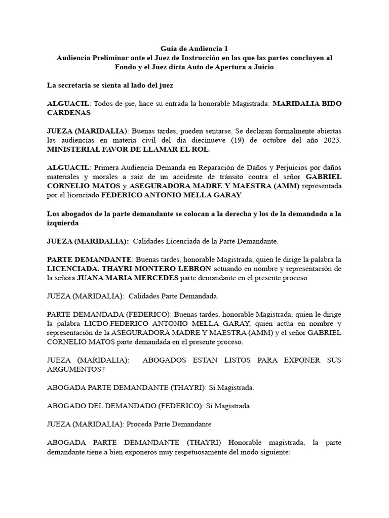 Audiencia por Daños de Tránsito | PDF | Justicia | Crimen y violencia
