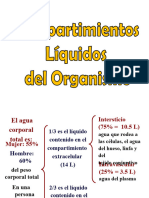 Fisiologia Renal Balance Hidroelectrolítico 14 Enero 2023