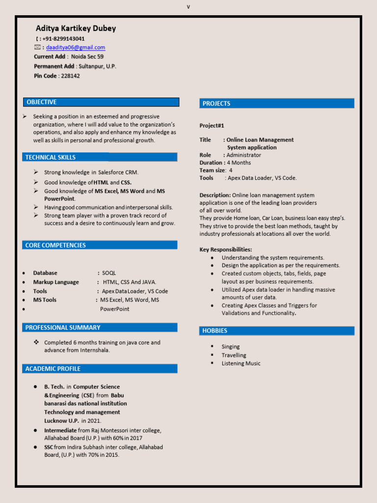 Aspiring Salesforce Developer | PDF | Html | Microsoft Excel