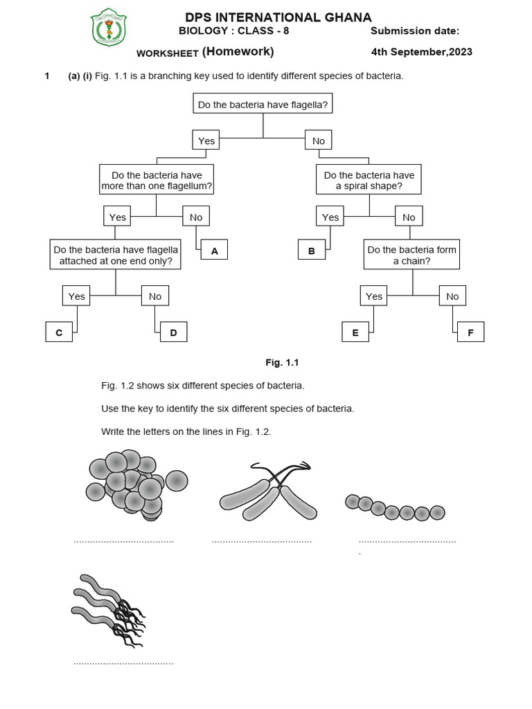 Classification of Living Organisms 1 | PDF | Bacteria | Taxa