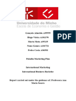 Project Marketing Internancional - Paladin