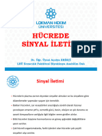 Hafta Hücrede Sinyal İletimi