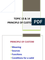 Principle of Custom