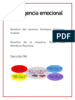 Inteligencia Emocional