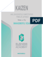 Curs Kaizen Management Vizual
