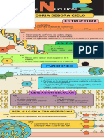 Ácidos Nucleicos