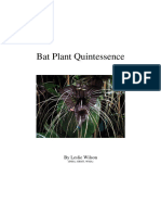 Bat Plant Quintessence - Copie