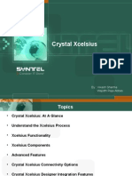 CR-Xcelsius PPT Final