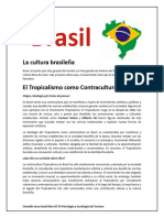 Tribus Brasileñas Subculturas y Contraculturas