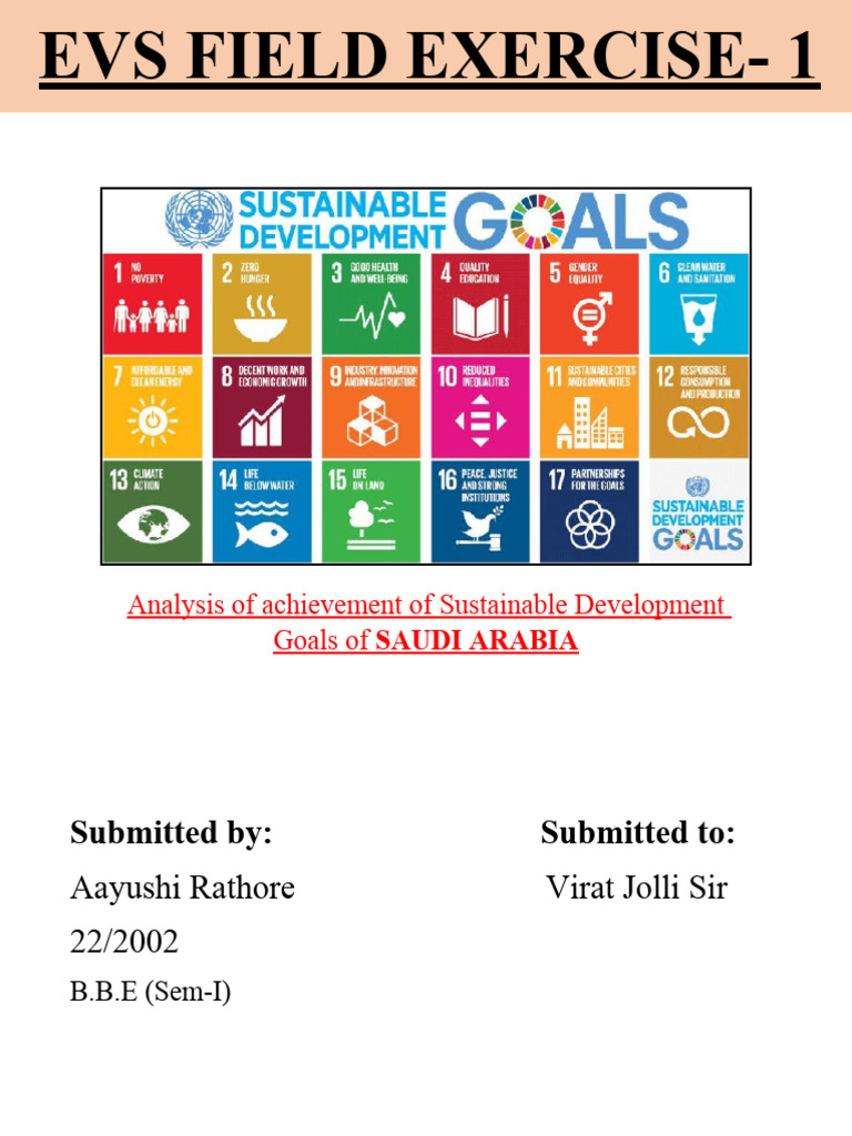 Analysis of Achievement of Sustainable Development | PDF