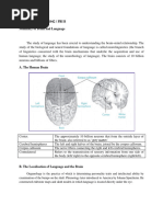 Lia Aftanty - 21202241042 - Summary of Brain and Language