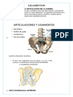 LIGAMENTOS de La Pelvis