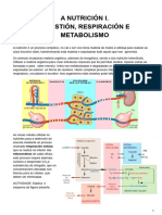 Nutrición I