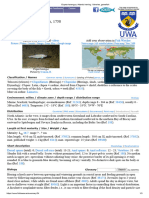 Clupea Harengus, Atlantic Herring - Fisheries, Gamefish