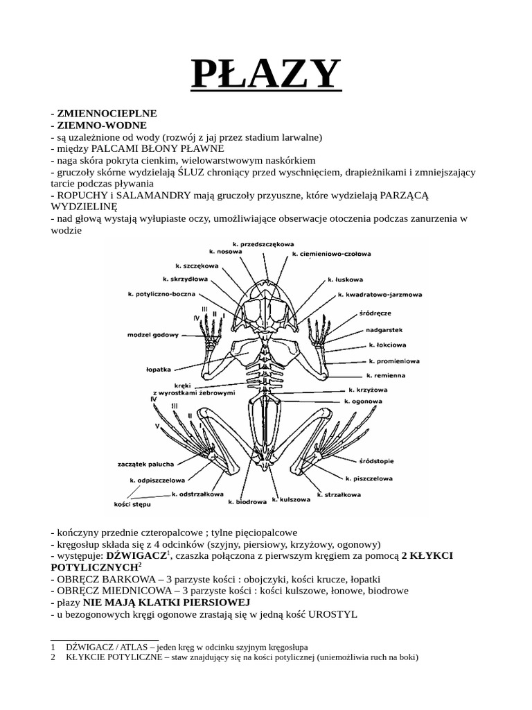PŁAZY | PDF