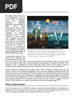 Carbon Cycle