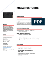 Curriculum Milagros Torre