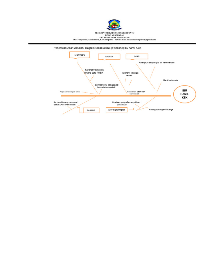 Fishbone Diagram Ibu Hamil Kek | PDF