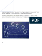 Escuelas Filosóficas Del Derecho