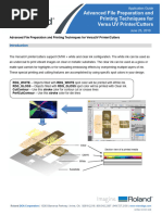 Roland UV-Printers AdvancedFilePreparation