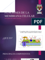 Funciones de La Membrana Celular: Josue Armando Torres Salazar