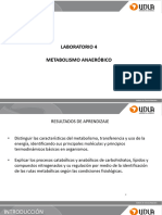 Metabolismo Anaeróbico LAB4 2023-20