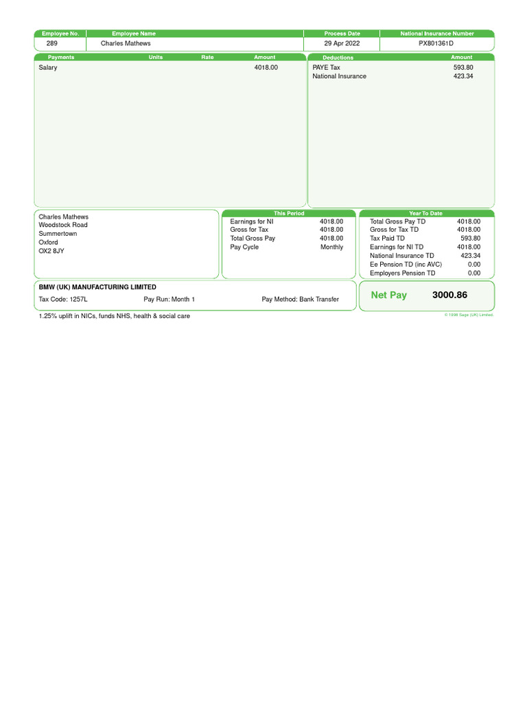 Payslip Template PDF