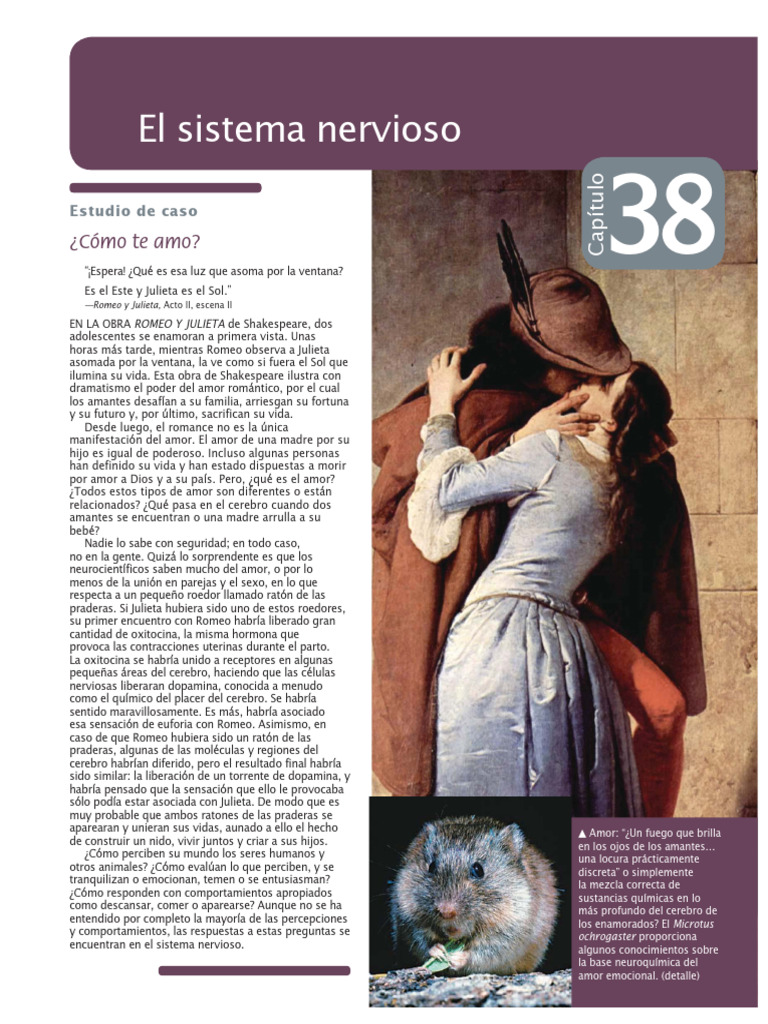 Estructura y función de las neuronas | PDF | Sinapsis | Neurona