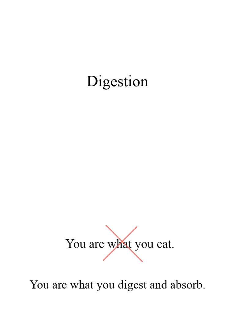 Digestion PDF
