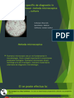 Metodele specific de diagnostic in bolile infectioase- metoda