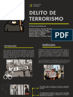 Delito Del Terrorismo