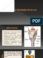 374966007-Anatomia-y-Fisiologia-de-La-Voz