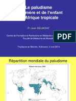 2014 Tropiques en Marche DELMONT Paludisme