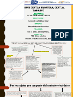 MAPA CONCEPTUAL - Morales Garcia Carlos