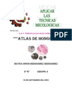 Atlas Original de Micologia