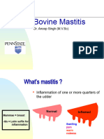 Bovine Mastitis