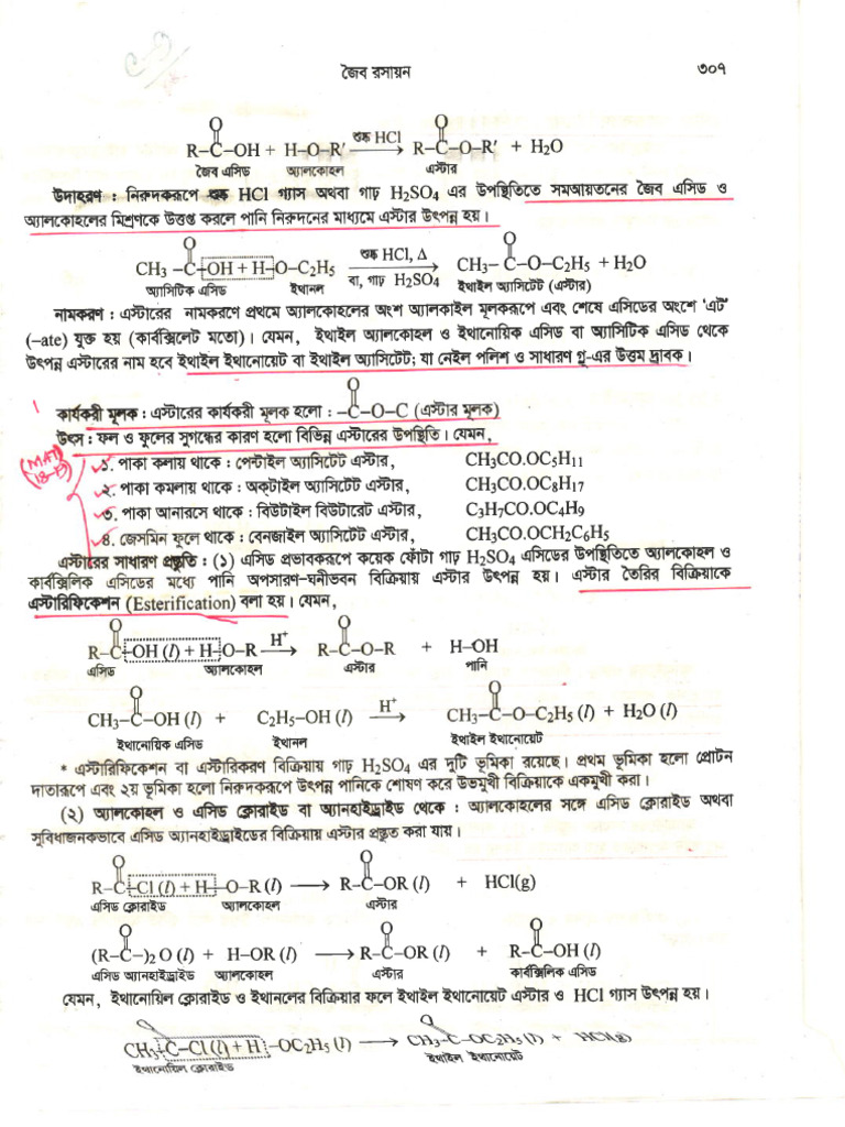 C 09 marked book pdf