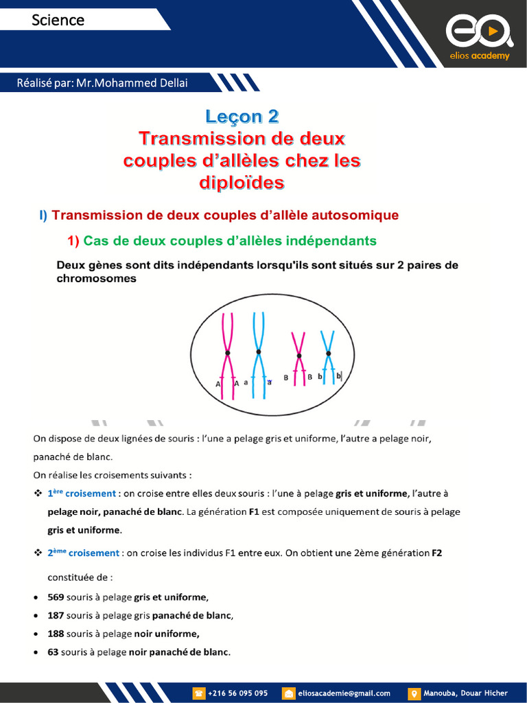 6001 Filtre Pour Masque Respiratoire, Cartouches ANUNU Organic Vapor 6001 Filtre De Couleur Chimique Compatible Avec Les Masques Respiratoires 6200, 6800, 7502