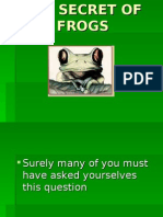 secretfrogs