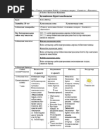 Секс ковбойлары