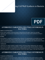 Antibiotics Targeting Cell Wall Synthesis in Bacteria