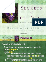 Secret of the Vine - Part 5
