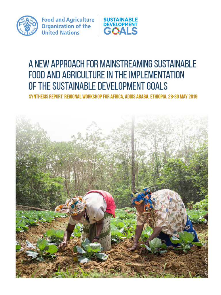 CA5776EN | PDF | Food And Agriculture Organization | Hunger