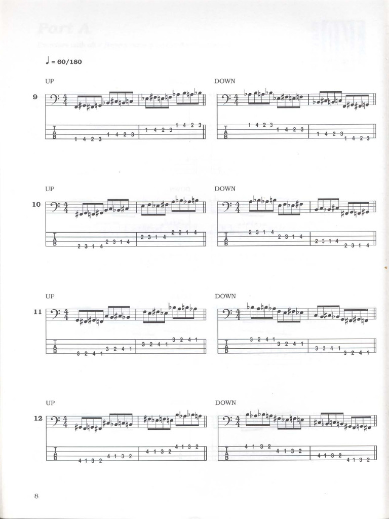 3-Bass Fitness | PDF