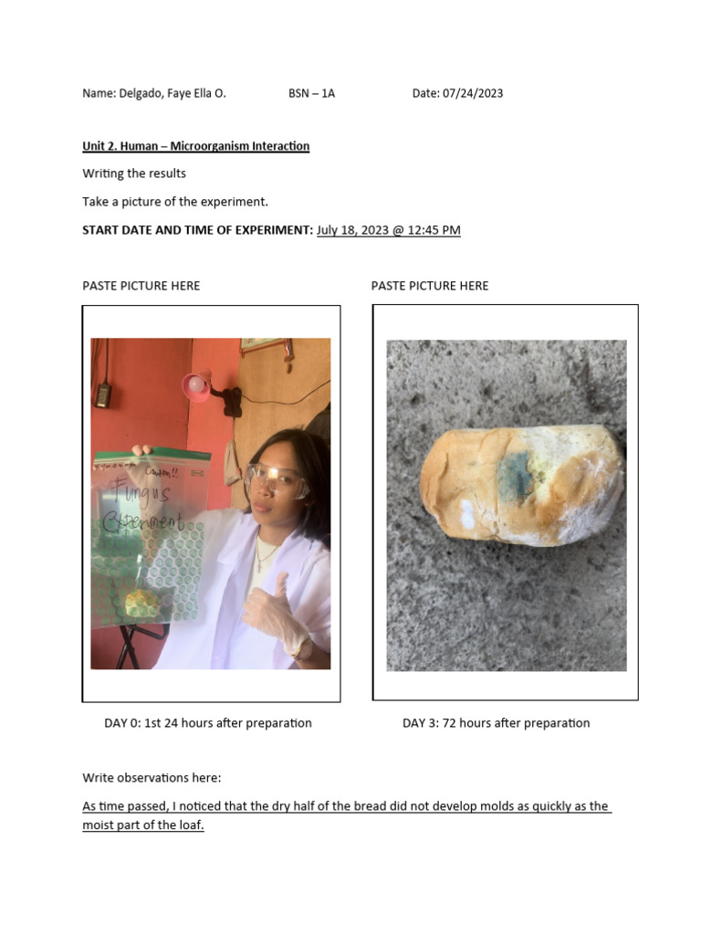 Fungi Growth Experiment on Bread Mold | PDF | Fungus | Cell (Biology)
