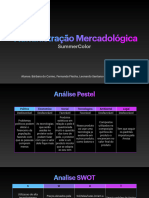 Adm Mercadologica Denise 3.0