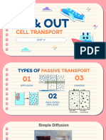 In & Out Cell Transport
