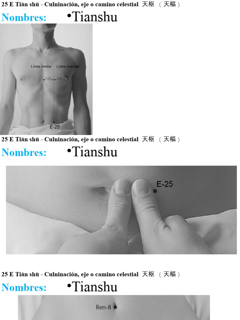 Acupuntura E25: Punto Tianshu | PDF